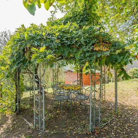 Il Lauro