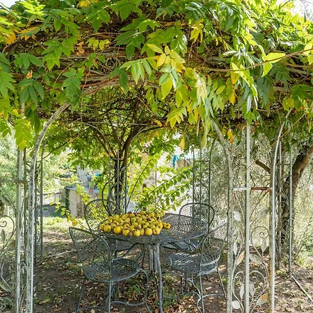 Apartamento Il Lauro